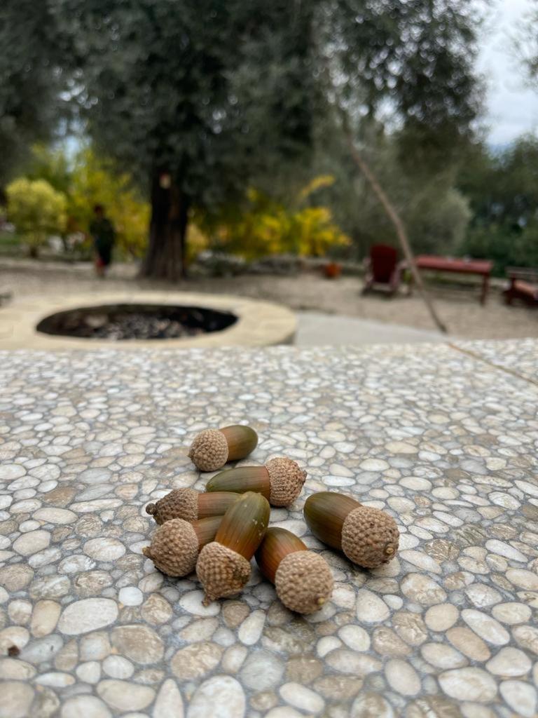 Antalya Bodrum Kayasi Dag Oteli Hasdumen المظهر الخارجي الصورة