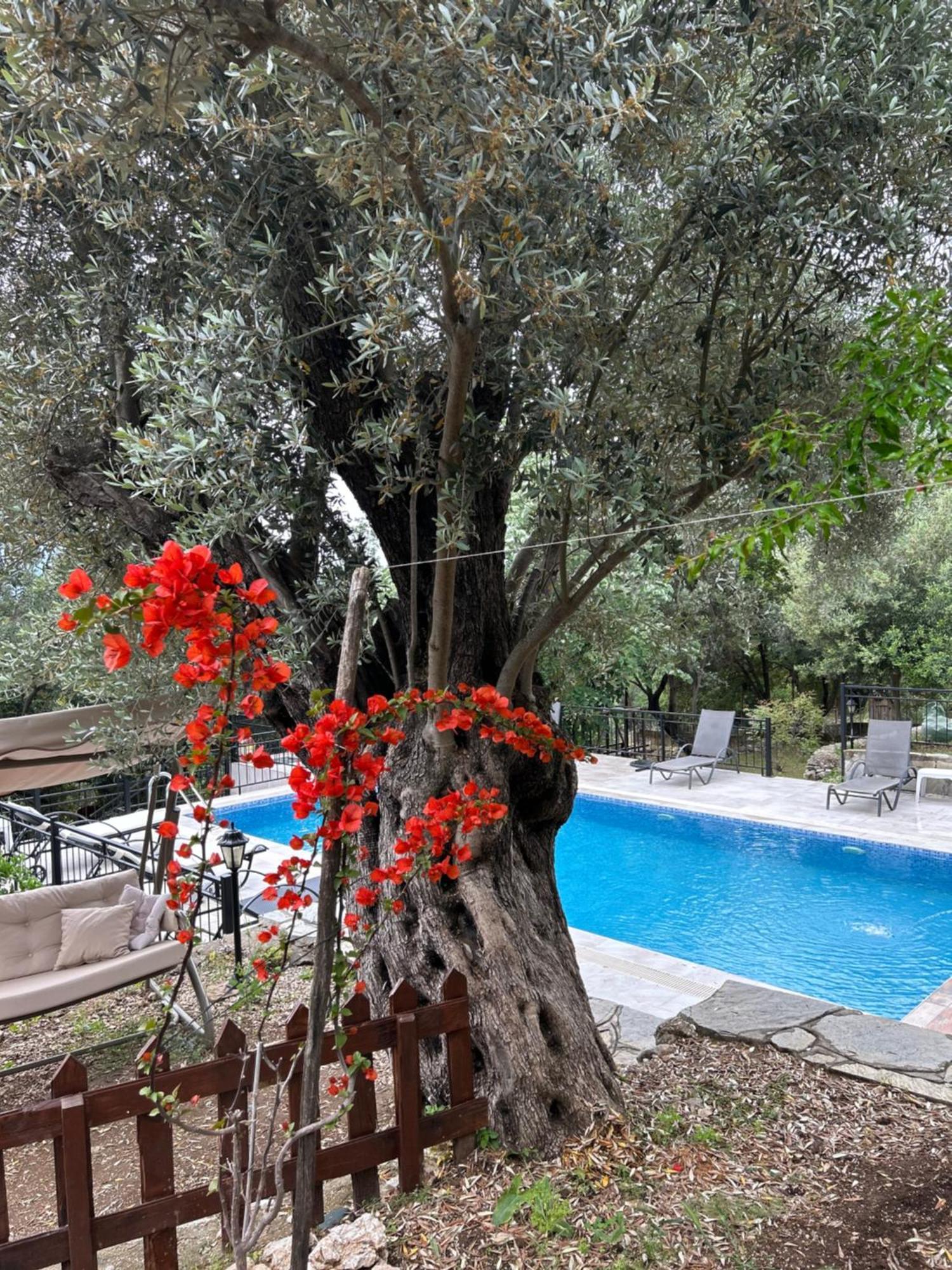 Antalya Bodrum Kayasi Dag Oteli Hasdumen المظهر الخارجي الصورة